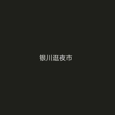 银川逛夜市