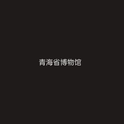 青海省博物馆