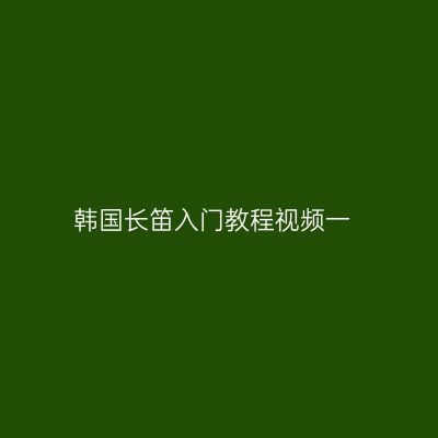 韩国长笛入门教程视频一