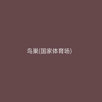 鸟巢(国家体育场)