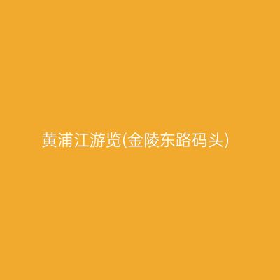 黄浦江游览(金陵东路码头)
