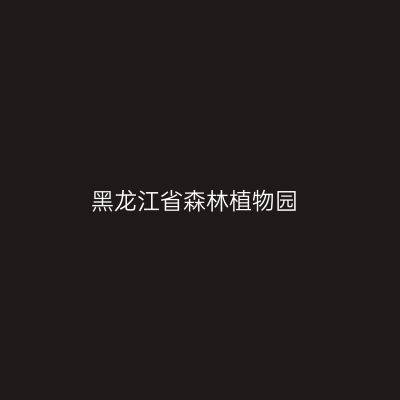 黑龙江省森林植物园