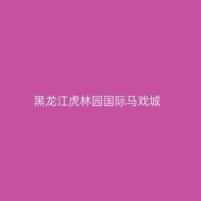 黑龙江虎林园国际马戏城