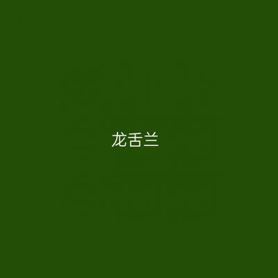 龙舌兰