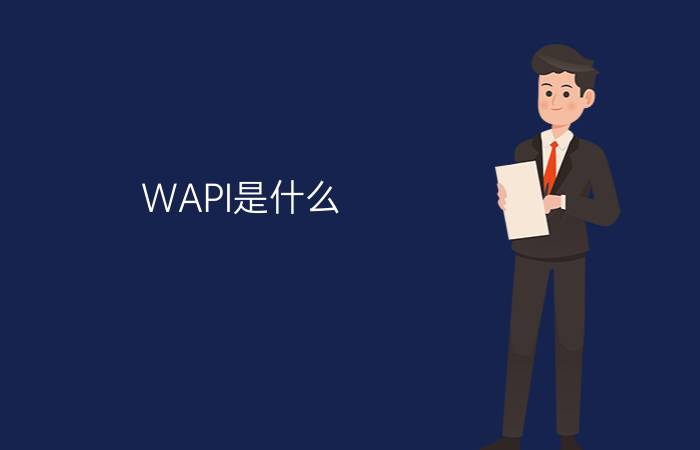 WAPI是什么