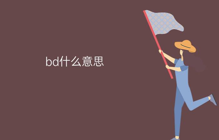 bd什么意思