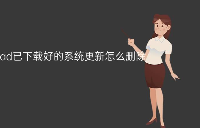 ipad已下载好的系统更新怎么删除