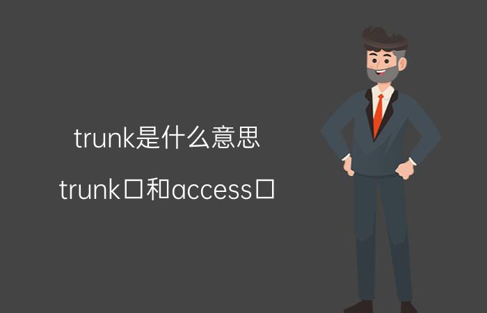 trunk是什么意思(trunk口和access口)