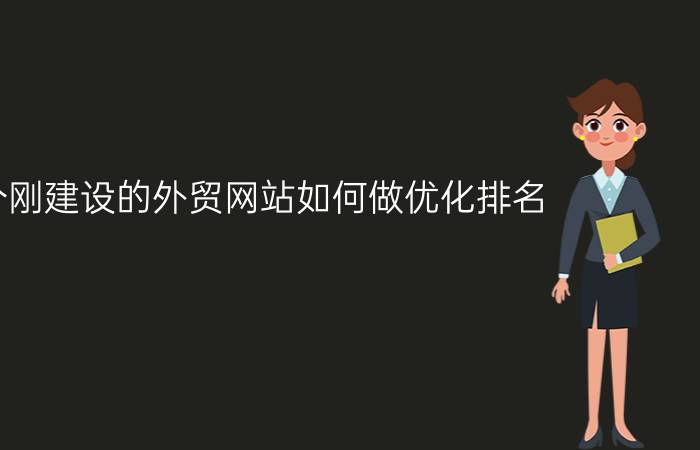 一个刚建设的外贸网站如何做优化排名？