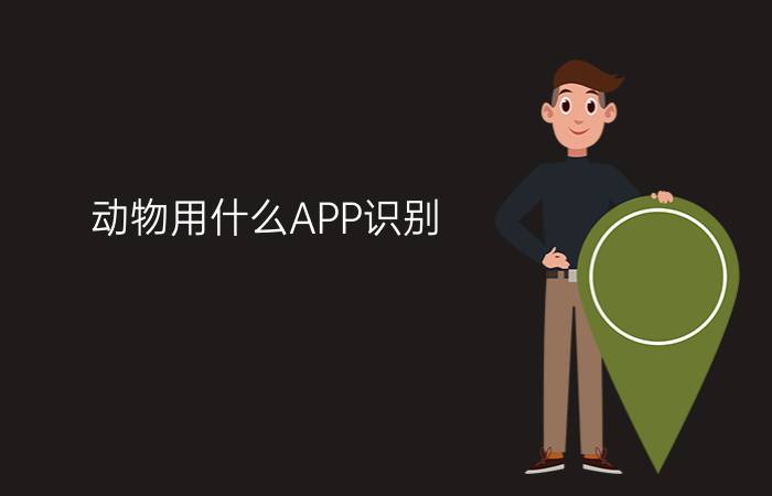 动物用什么APP识别