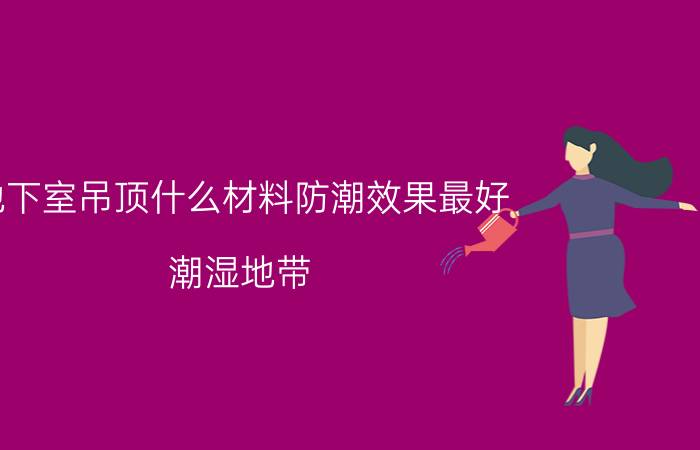 地下室吊顶什么材料防潮效果最好（潮湿地带-卫生间吊顶装修材料分析）