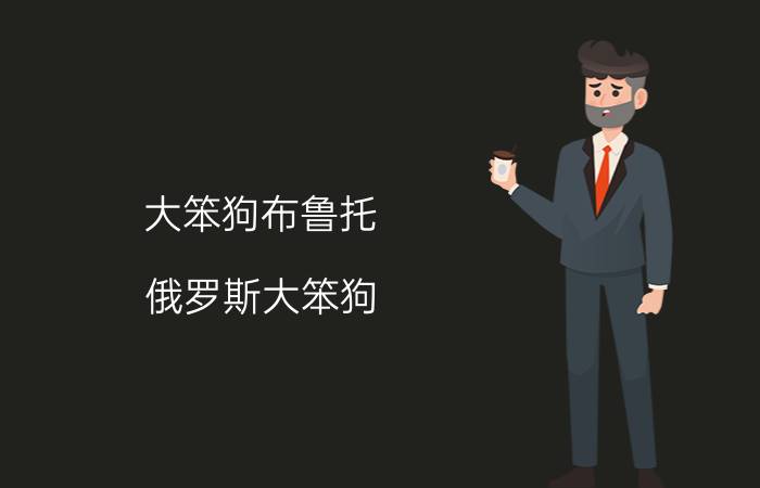 大笨狗布鲁托（俄罗斯大笨狗）