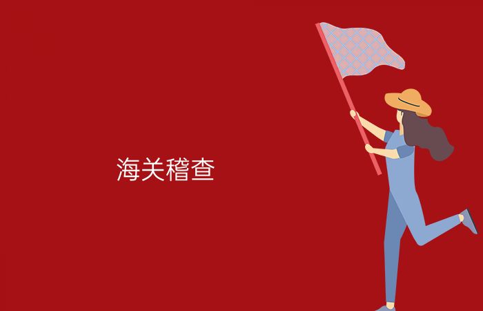 海关稽查