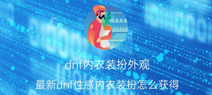 dnf内衣装扮外观（最新dnf性感内衣装扮怎么获得）