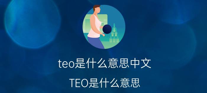 teo是什么意思中文（TEO是什么意思）