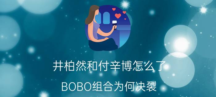 井柏然和付辛博怎么了（BOBO组合为何决裂）