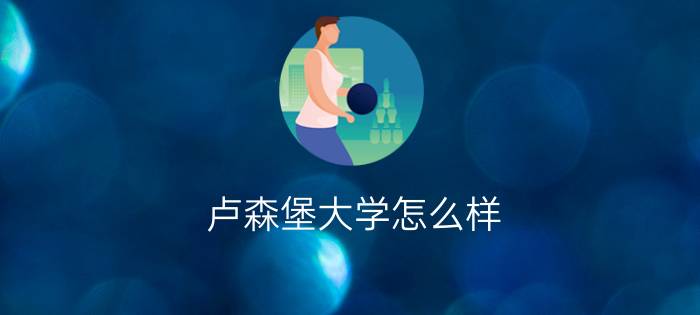 卢森堡大学怎么样