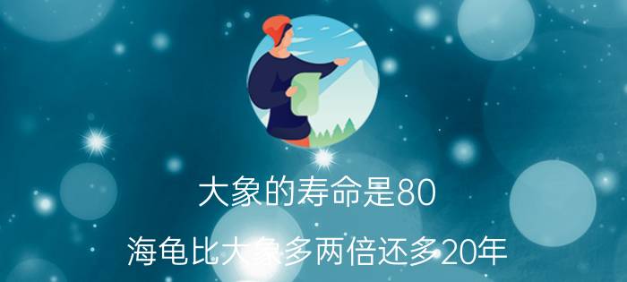 大象的寿命是80,海龟比大象多两倍还多20年