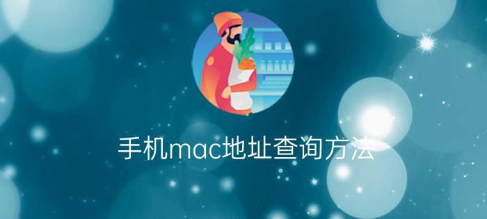 手机mac地址查询方法