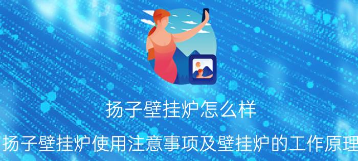 扬子壁挂炉怎么样（扬子壁挂炉使用注意事项及壁挂炉的工作原理）