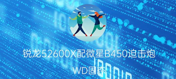 锐龙52600X配微星B450迫击炮，WD固态，装win10系统后蓝屏，怎么回事？