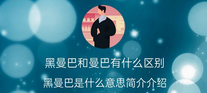 黑曼巴和曼巴有什么区别（黑曼巴是什么意思简介介绍）