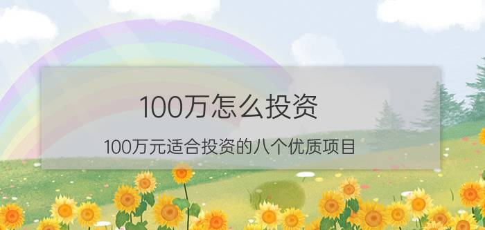 100万怎么投资（100万元适合投资的八个优质项目）