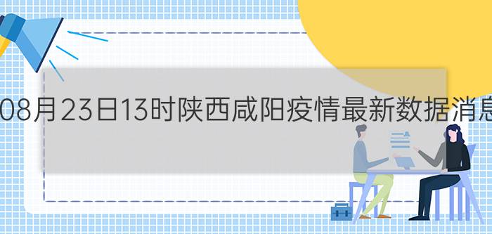 2022年08月23日13时陕西咸阳疫情最新数据消息速报