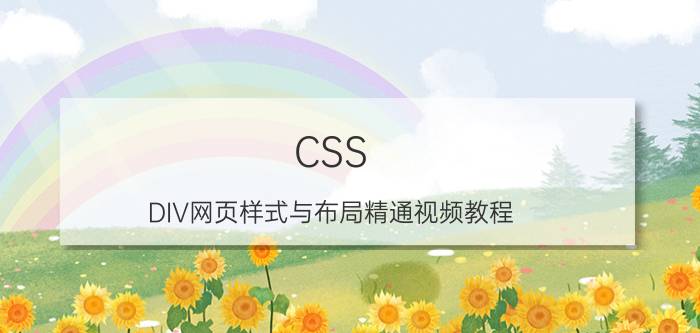 CSS+DIV网页样式与布局精通视频教程