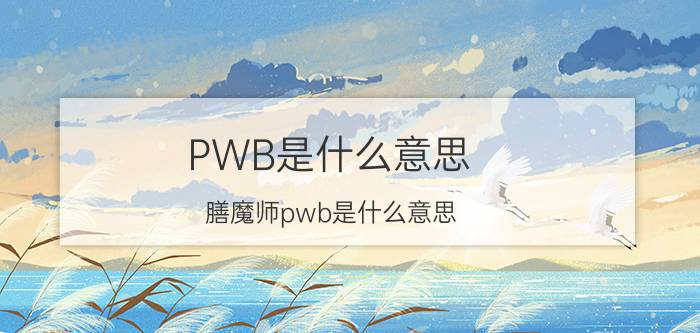 PWB是什么意思(膳魔师pwb是什么意思)