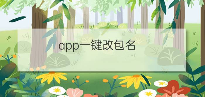 app一键改包名