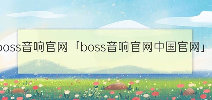 boss音响官网「boss音响官网中国官网」