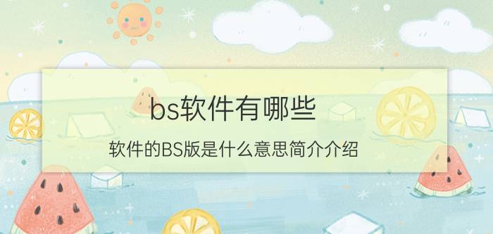 bs软件有哪些（软件的BS版是什么意思简介介绍）