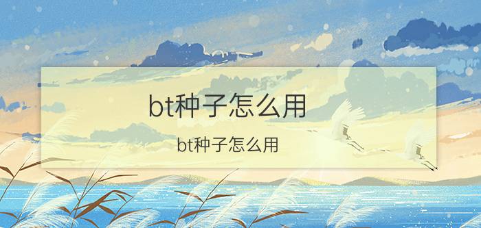 bt种子怎么用(bt种子怎么用)