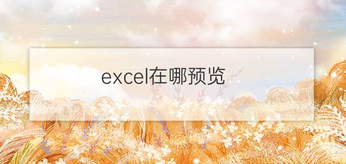 excel在哪预览