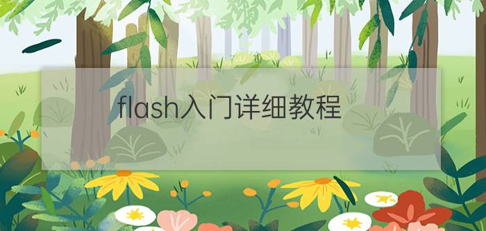 flash入门详细教程