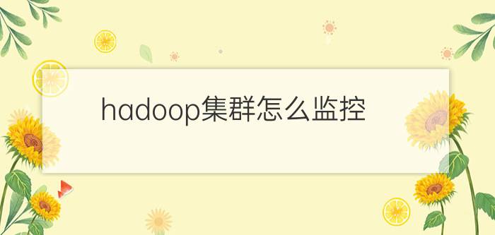 hadoop集群怎么监控