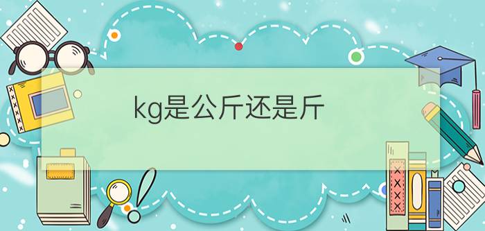 kg是公斤还是斤