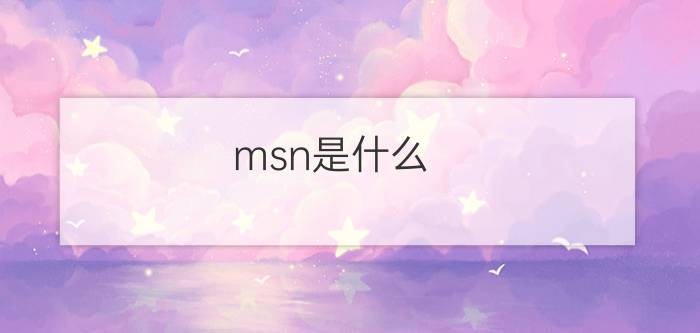 msn是什么