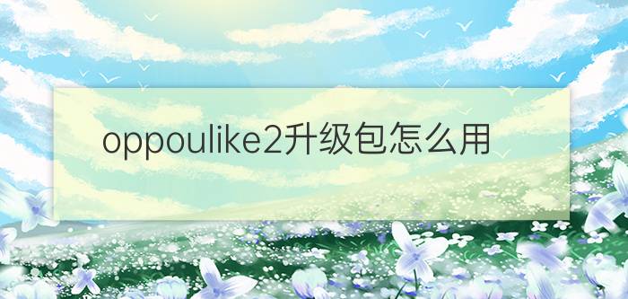 oppoulike2升级包怎么用