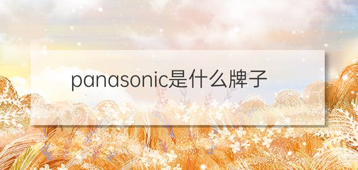 panasonic是什么牌子