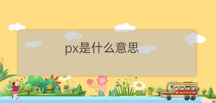 px是什么意思