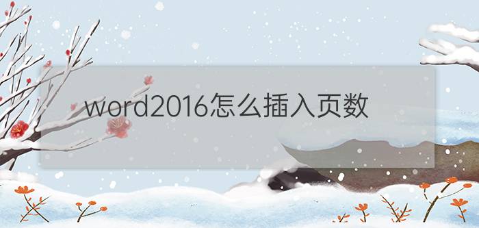 word2016怎么插入页数