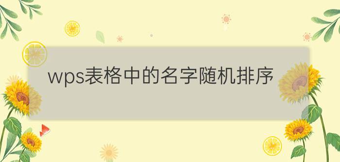 wps表格中的名字随机排序