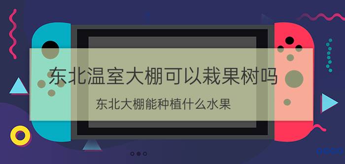 东北温室大棚可以栽果树吗(东北大棚能种植什么水果？)