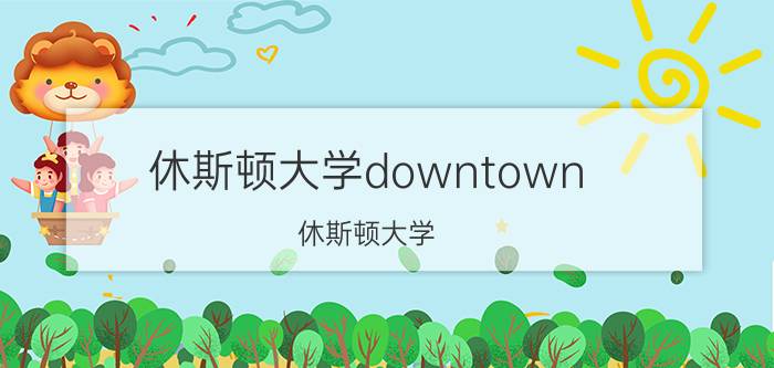 休斯顿大学downtown(休斯顿大学)