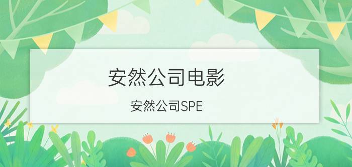 安然公司电影（安然公司SPE）