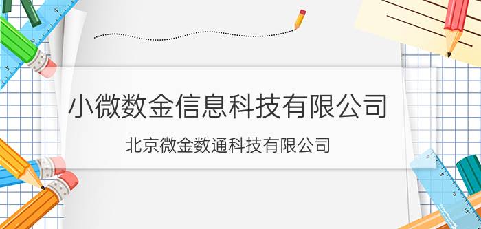 小微数金信息科技有限公司（北京微金数通科技有限公司）