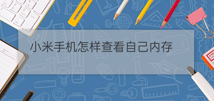 小米手机怎样查看自己内存