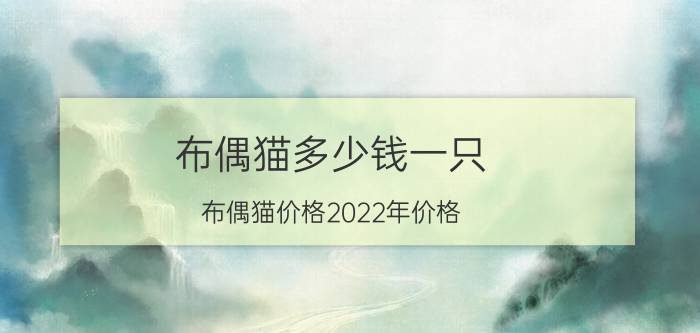 布偶猫多少钱一只？布偶猫价格2022年价格